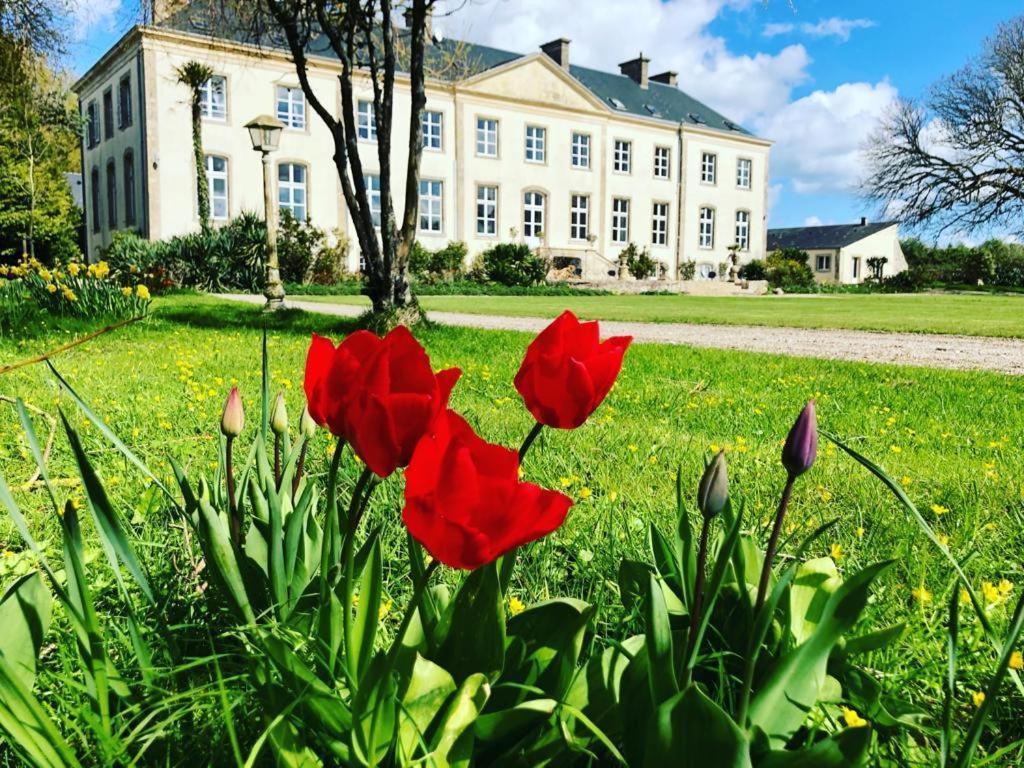 Hotel Du Chateau De Quineville Ngoại thất bức ảnh